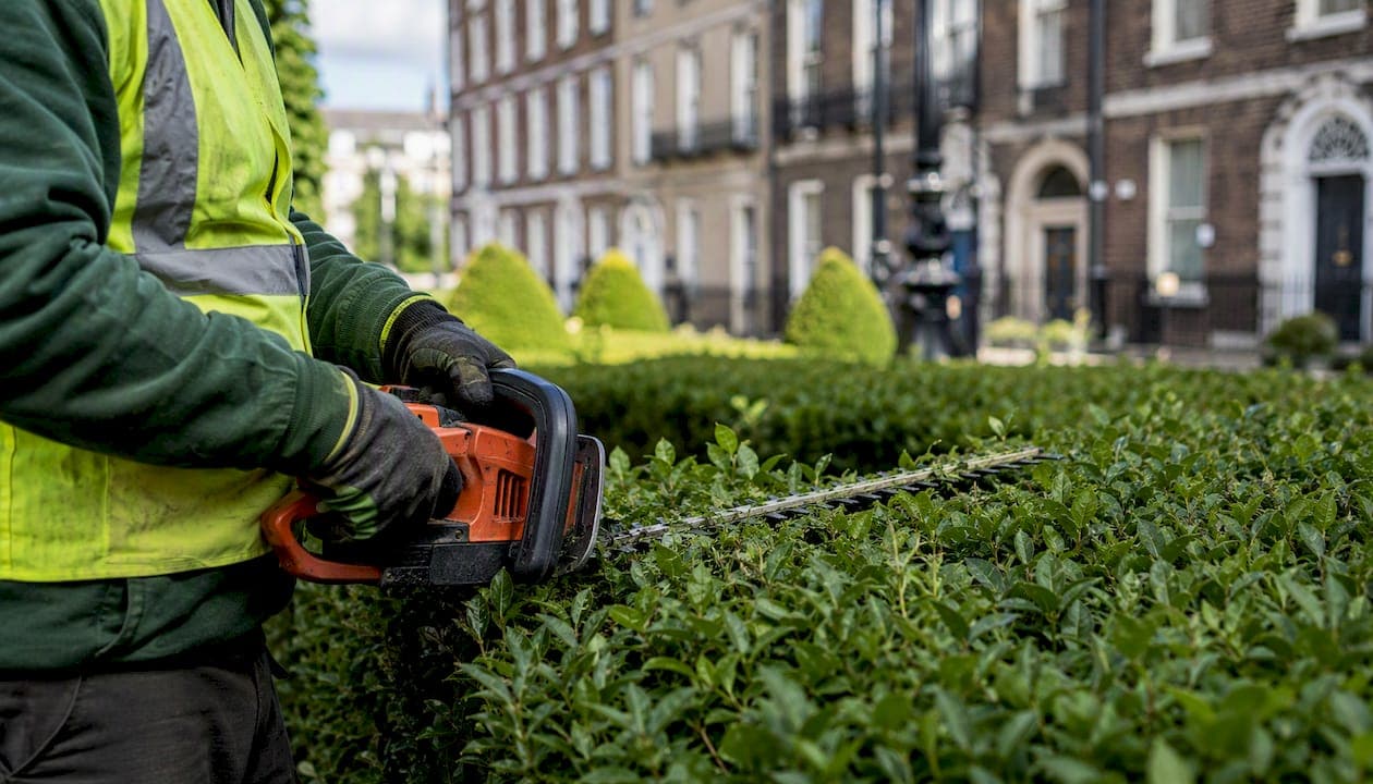 Best landscaping tools for commercial properties in Dublin