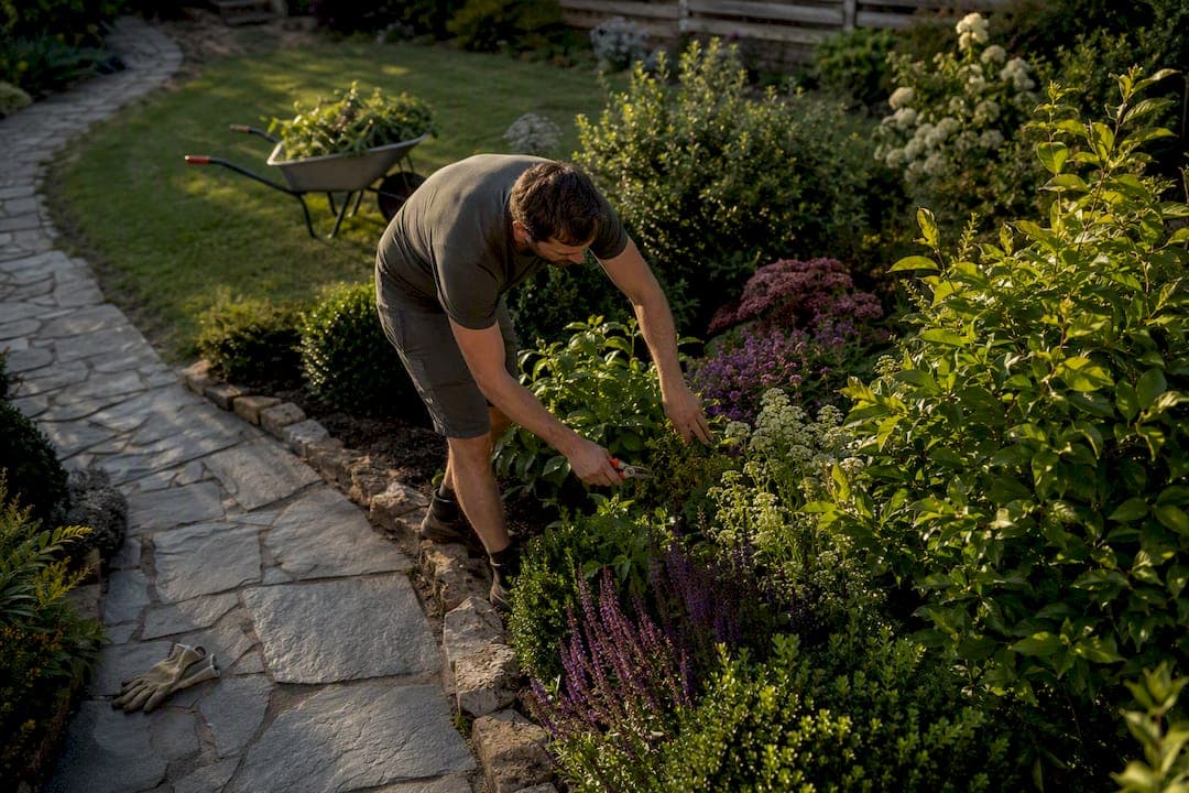 Gardener visit frequency: how often you actually need one