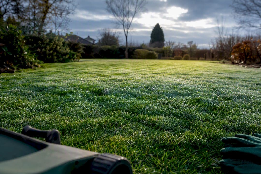 Dublin Pro's 7 Winter Lawn Care Tasks Irish Lawns Need
